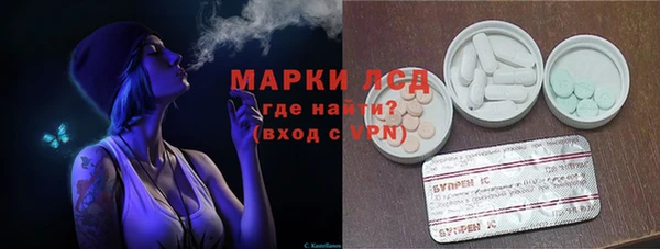 СК Горняк