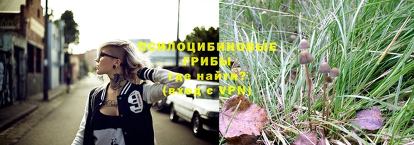 ALPHA PVP Горнозаводск
