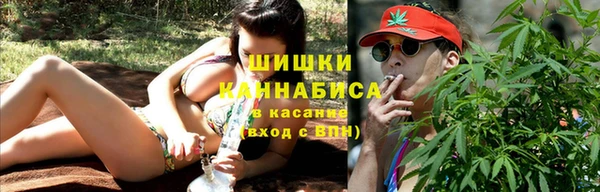 ALPHA PVP Горнозаводск