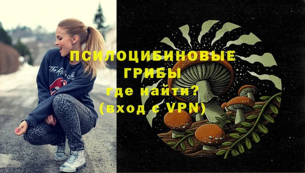ALPHA PVP Горнозаводск