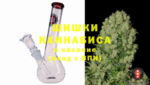 СК Горняк