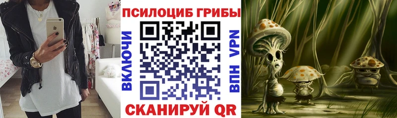 Псилоцибиновые грибы прущие грибы  даркнет Telegram  Олёкминск 